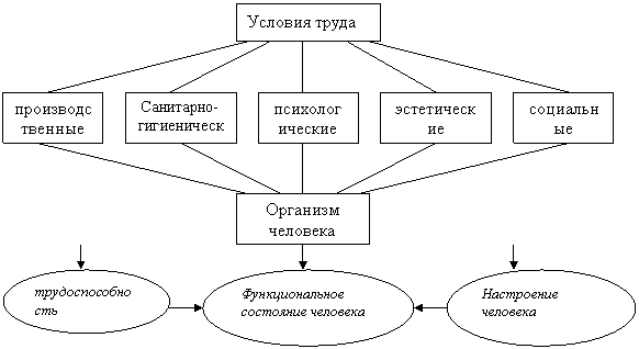 Реферат: Производственная среда и человек