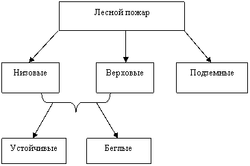 Реферат: Лесные пожары