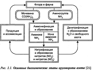 Реферат: Азот