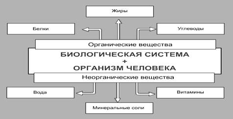 http://culture.mchs.gov.ru/upload/learning/img/Les7/guinkl.JPG