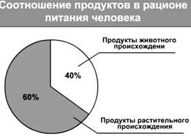 http://culture.mchs.gov.ru/upload/learning/img/Les8/4t5jhmn%20.JPG