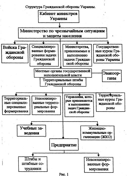 Реферат: Администрация президента: структура и функции